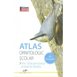 Atlas ornitologic scolar de buzunar. Peste 130 de specii comune de pasari din Romania