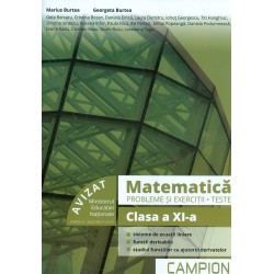 Matematica, clasa a XI-a - Probleme si exercitii. Teste