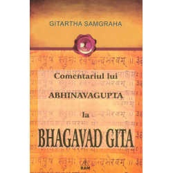 Comentariul lui Abhinavagupta la Bhagavad Gita