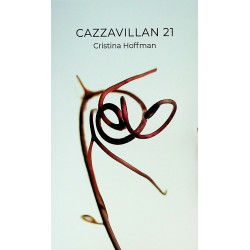 Cazzavillan 21