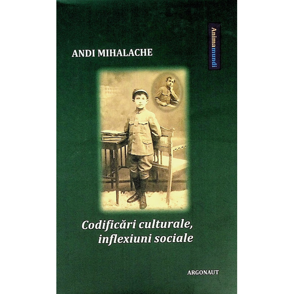 Codificari culturale, inflexiuni sociale Codificari culturale, inflexiuni sociale