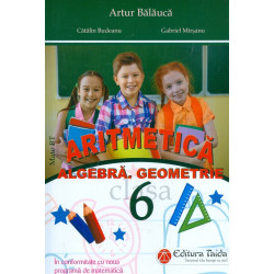 Aritmetica. Algebra. Geometrie, clasa a VI-a. Contine brosura cu rezultate, indicatii, solutii, comentarii