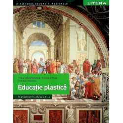 Educatie plastica, clasa a VI-a