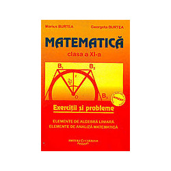 Matematica: exercitii si probleme, clasa a XI-a