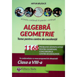 Algebra, geometrie, clasa a VIII-a - Teme pentru centre de excelenta