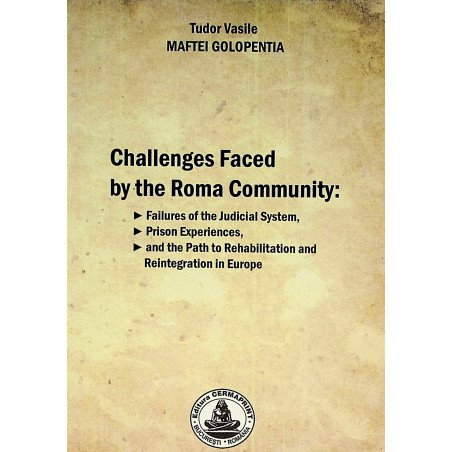 Challenges Faced by the...