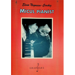Micul pianist