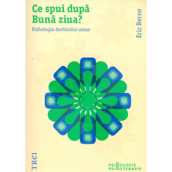 Ce spui dupa Buna ziua?