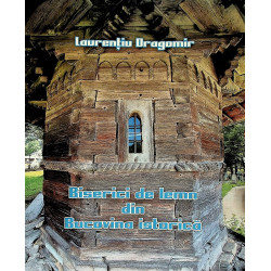 Biserici din lemn din...